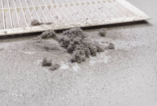 Best Residential Air Duct Cleaning  in New Windsor, MD