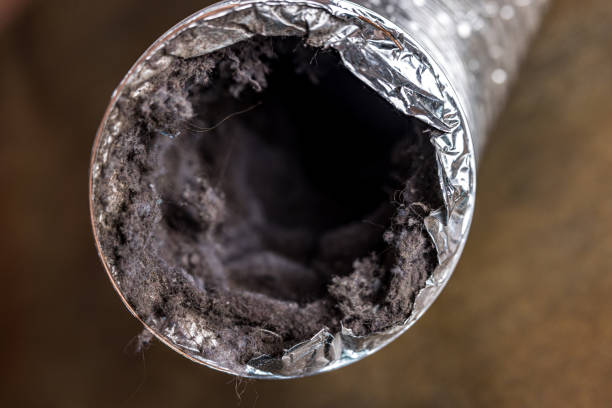 Best Affordable Duct Cleaning Services  in New Windsor, MD